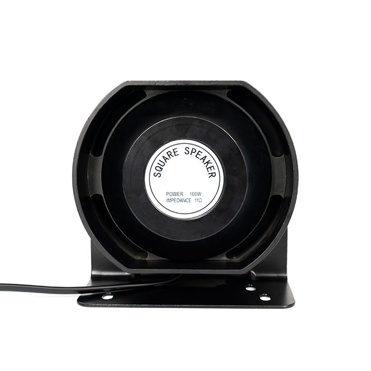 100 W kaiutin